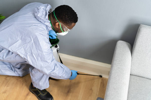 Best Residential Pest Control  in Cisco, TX